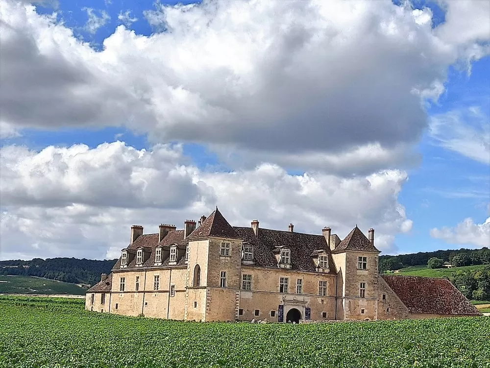 The Most Beautiful Wineries in France