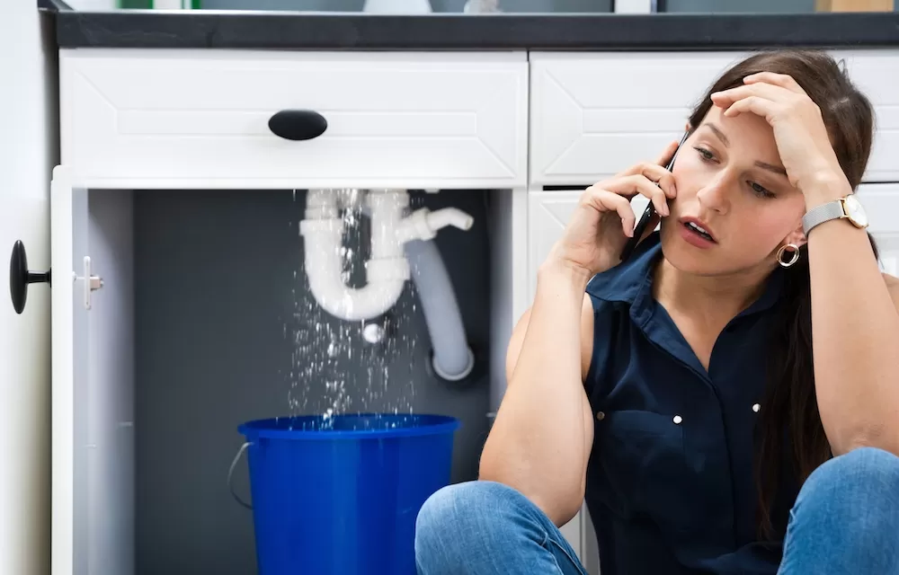 What to Do When There's Water Leakage in Your Apartment