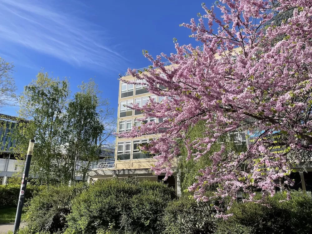 ALX School Guide: Nanterre University