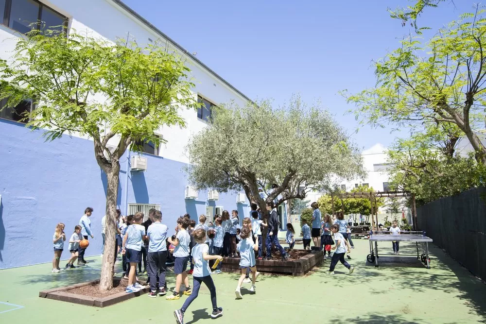 ALX School Guide: The Olive Tree School