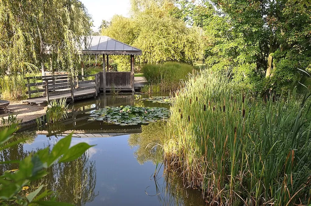 Discover The Best Underrated Reading Spots in Paris