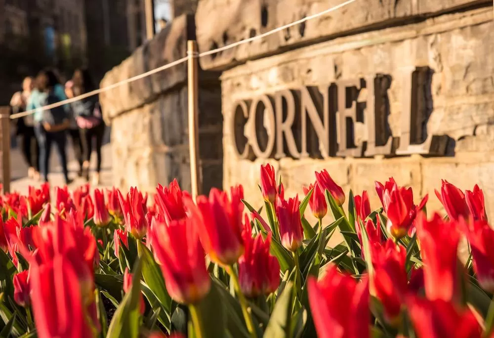 ALX School Guide: Cornell University