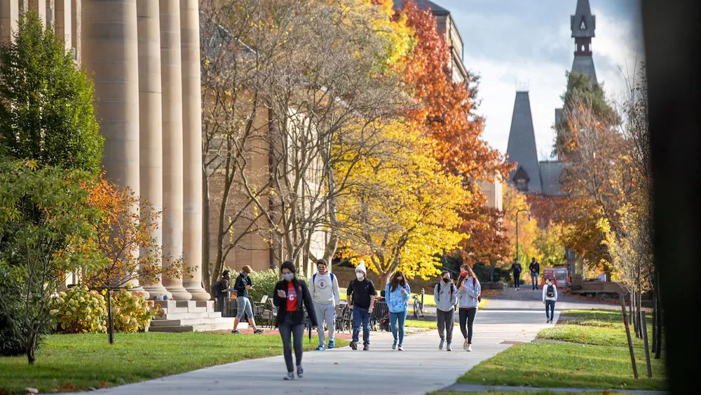 ALX School Guide: Cornell University