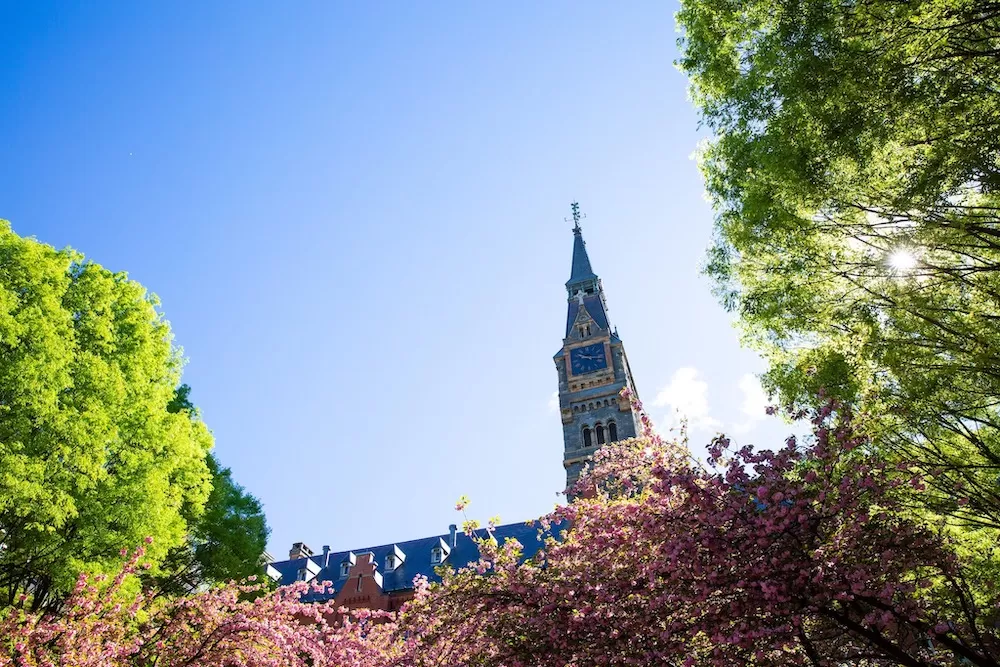 ALX School Guide: Georgetown University