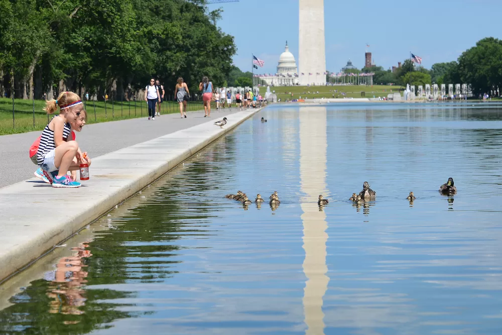 Where to Live with Family in Washington D.C.