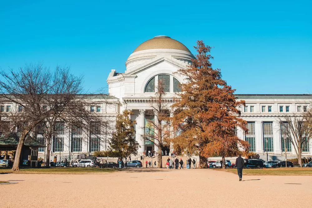 A History Buff's Guide to Washington D.C.