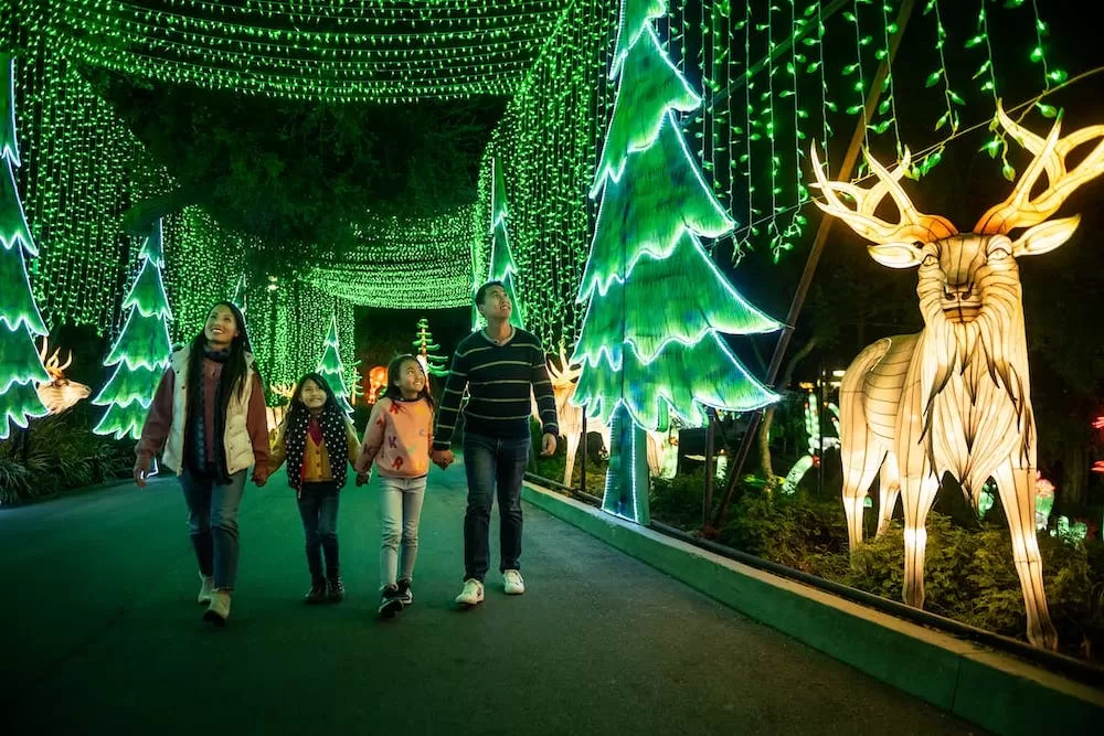 The Best Ways To Celebrate Christmas in Los Angeles