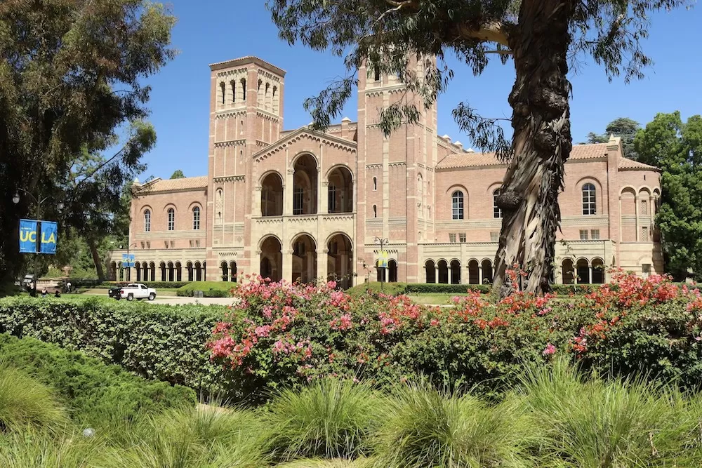 ALX School Guide: University of California, Los Angeles (UCLA)