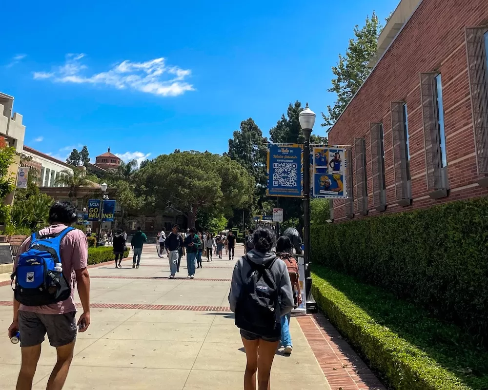 ALX School Guide: University of California, Los Angeles (UCLA)