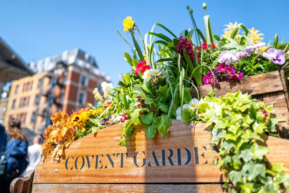 Learn All About Covent Garden in London