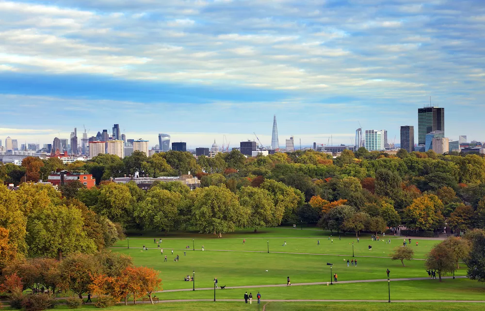 What to Expect in Primrose Hill in London