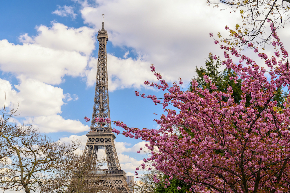 Where to See Cherry Blossoms in Paris