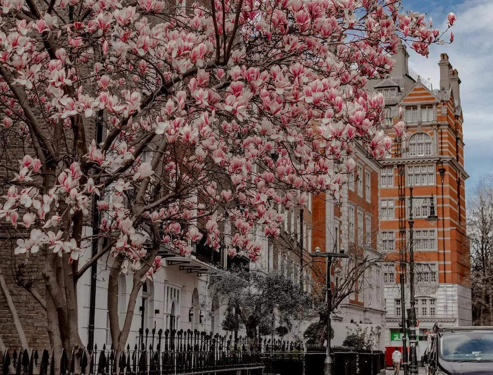 What to Know About Knightsbridge in London