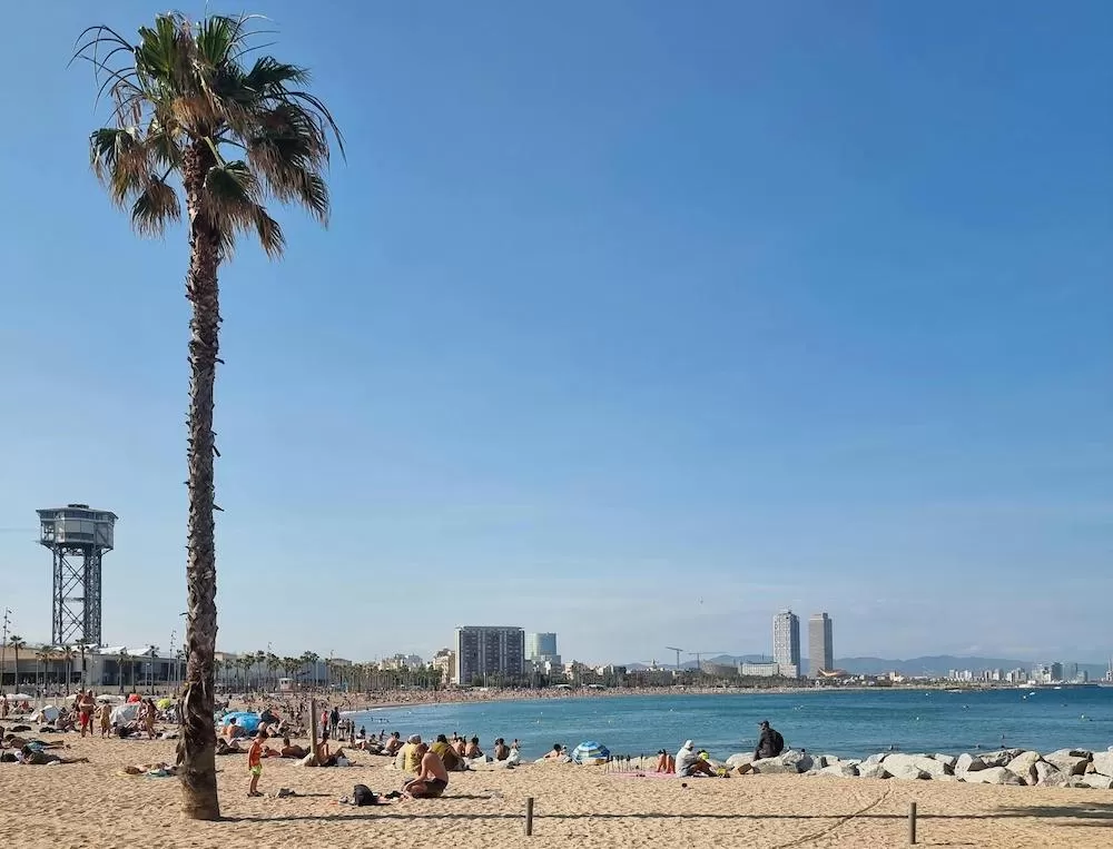 Discover La Barceloneta in Barcelona