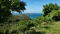 lovely garden of Saint Barth Villa The Panorama Estate luxury holiday home, vacation rental