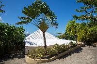 lush garden of Saint Barth Villa Tortue luxury holiday home, vacation rental